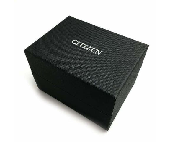 CITIZEN DZ0034-53E Quartz Analog Black Dial Two-Tone Stainless Steel Men’s Watch